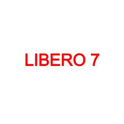 LIBERO 7 spettacoli
